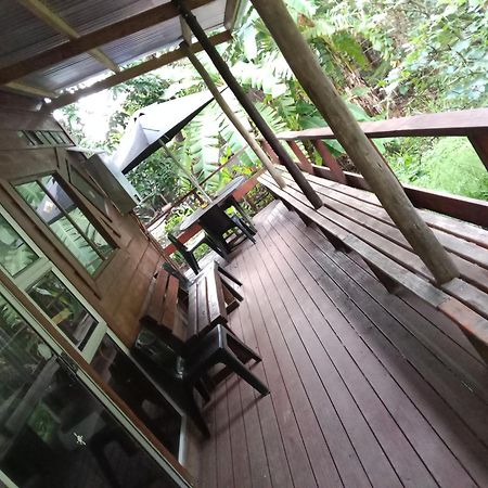 Yellowwood Forest Eco Retreat Морганс-Бэй Экстерьер фото