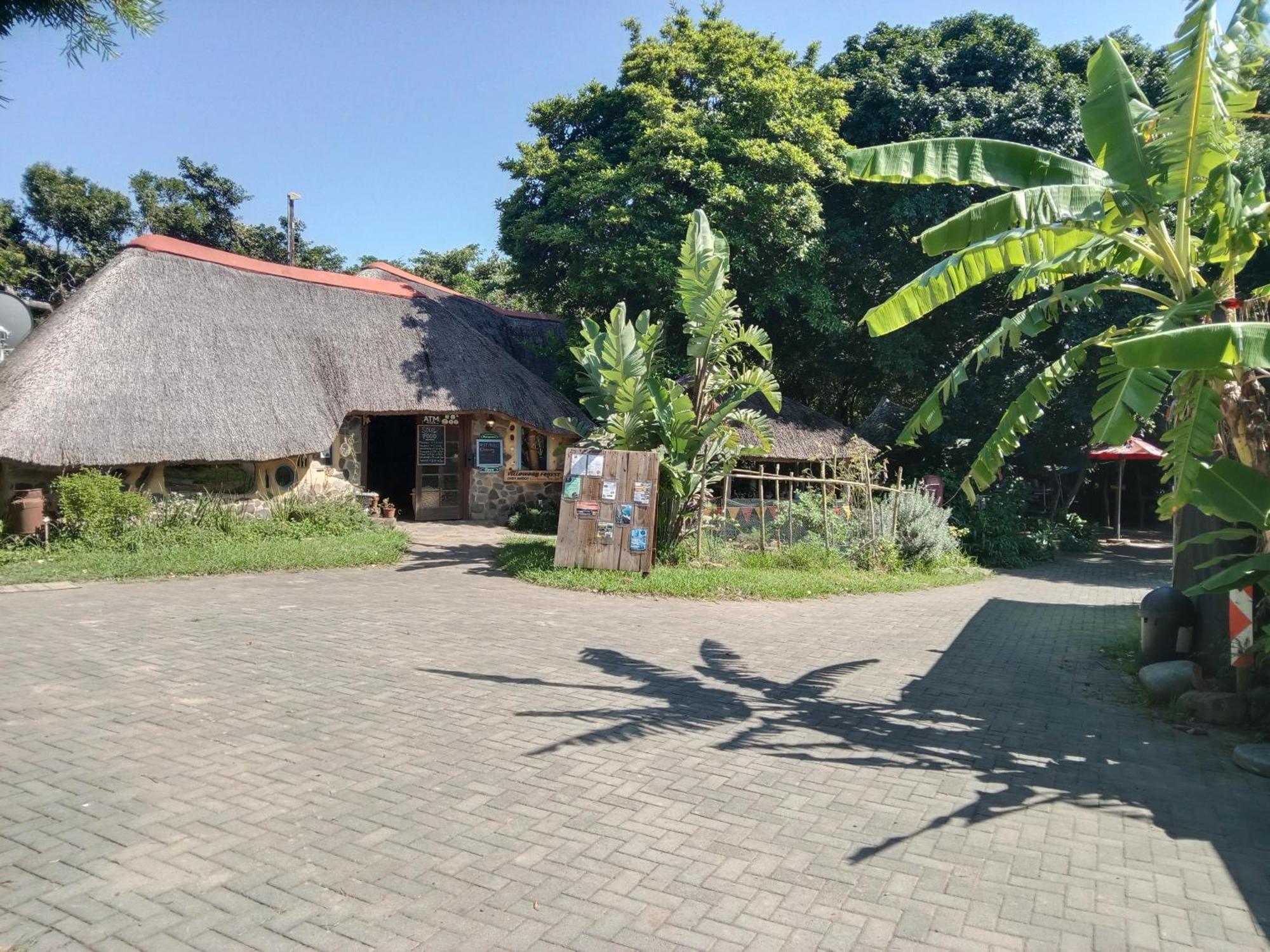 Yellowwood Forest Eco Retreat Морганс-Бэй Экстерьер фото